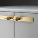 Close-up of Buster + Punch Cross Brass furniture knob plate