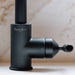 Buster + Punch kitchen faucet with engraved logo in welder's black finish