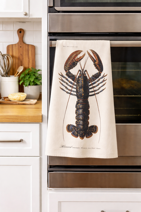 Lobster print kitchen towel hanging on oven in modern kitchen setting
