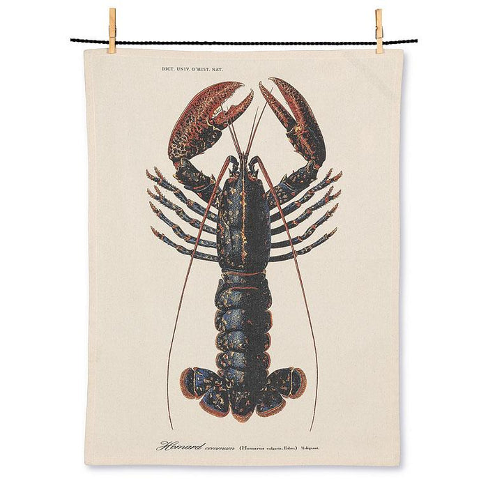 Lobster print cotton kitchen towel featuring detailed vintage lobster illustration on natural fabric