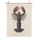 Lobster print cotton kitchen towel featuring detailed vintage lobster illustration on natural fabric