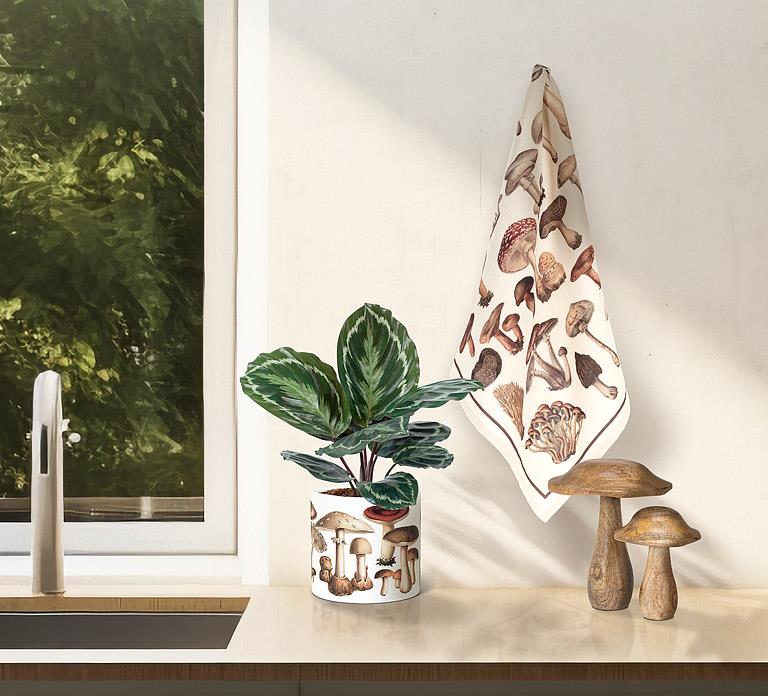 Mushroom print kitchen towel hanging near window with plant and natural light