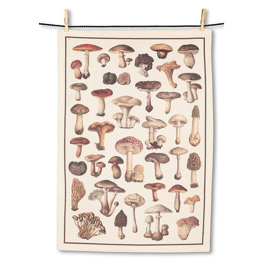 Mushroom print cotton kitchen towel featuring botanical illustration of various mushrooms