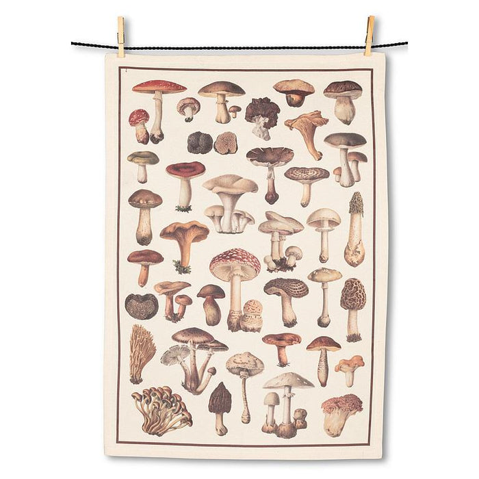 Mushroom print cotton kitchen towel featuring botanical illustration of various mushrooms