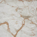 Close-up of the Alessio coffee table natural Breccia marble veining