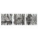 Renwil Lyon hand-painted wood wall art set of three