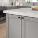 Richelieu 3060 matte black cabinet knobs installed on grey kitchen cabinetry