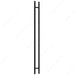 Richelieu 32 mm back-to-back ladder pull handle in Black Stainless Steel for glass and wood doors