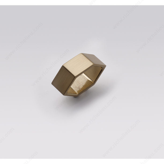 Richelieu 5465 hexagon cabinet pull detail view in lima gold